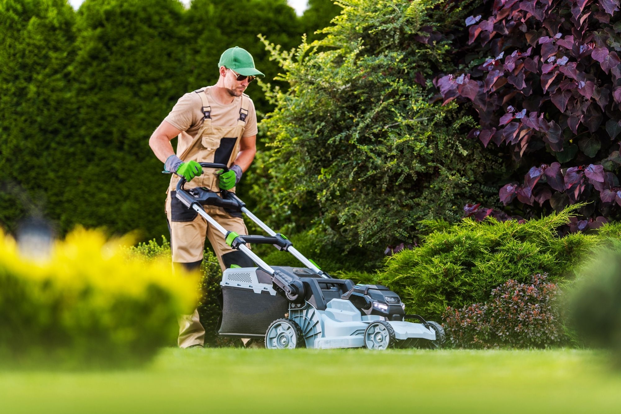 garden maintenance Bristol