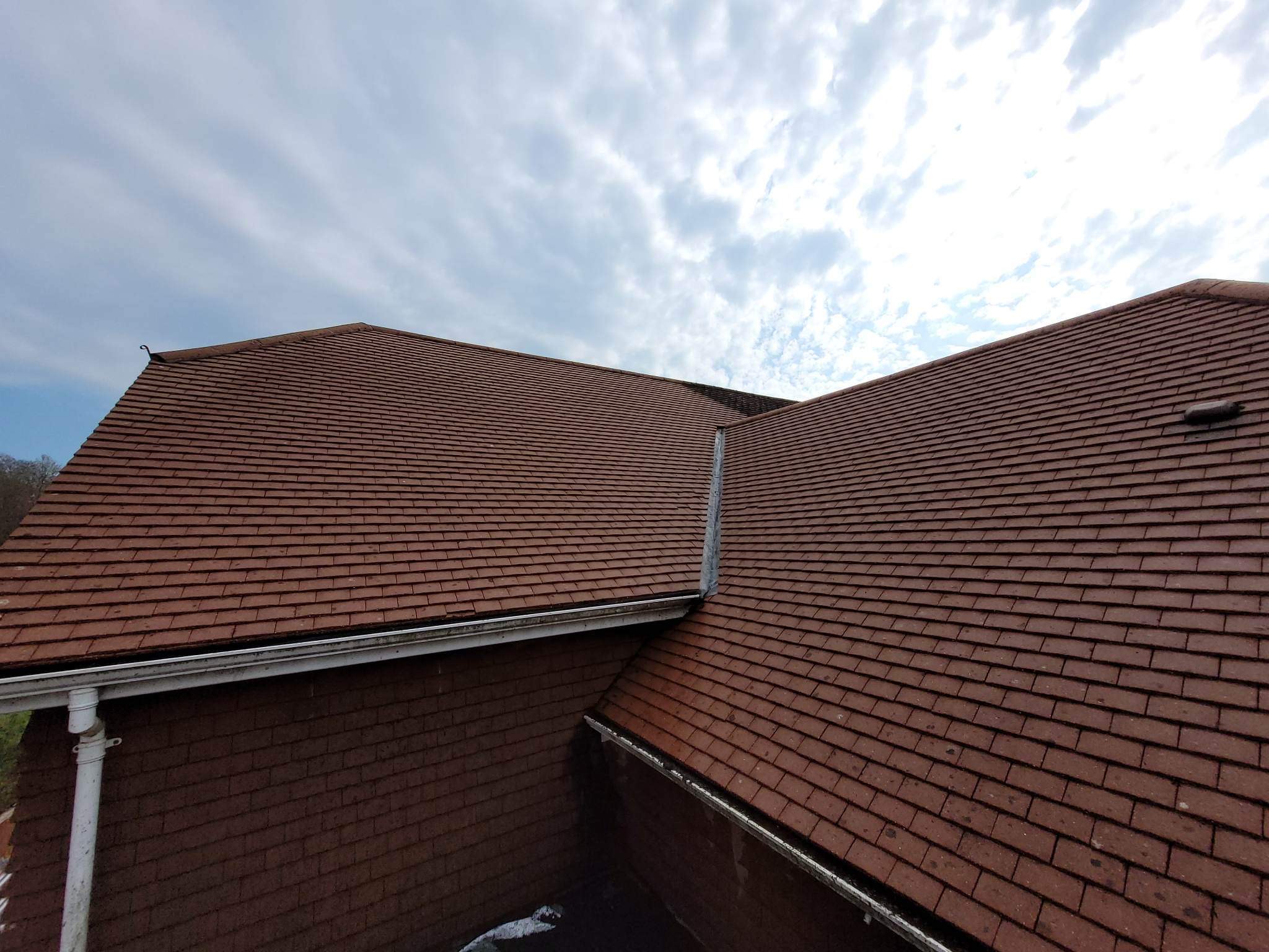 roof cleaning