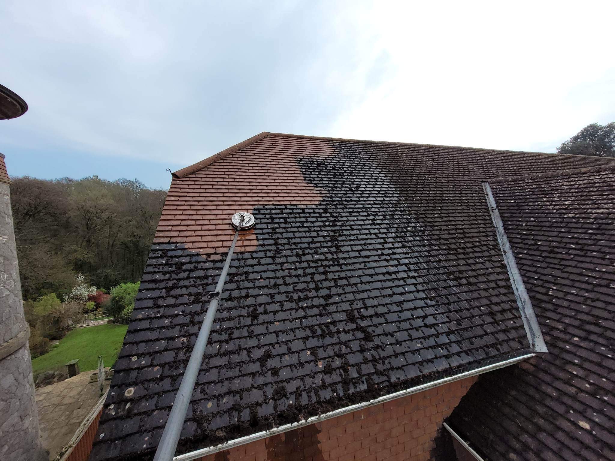 roof cleaning