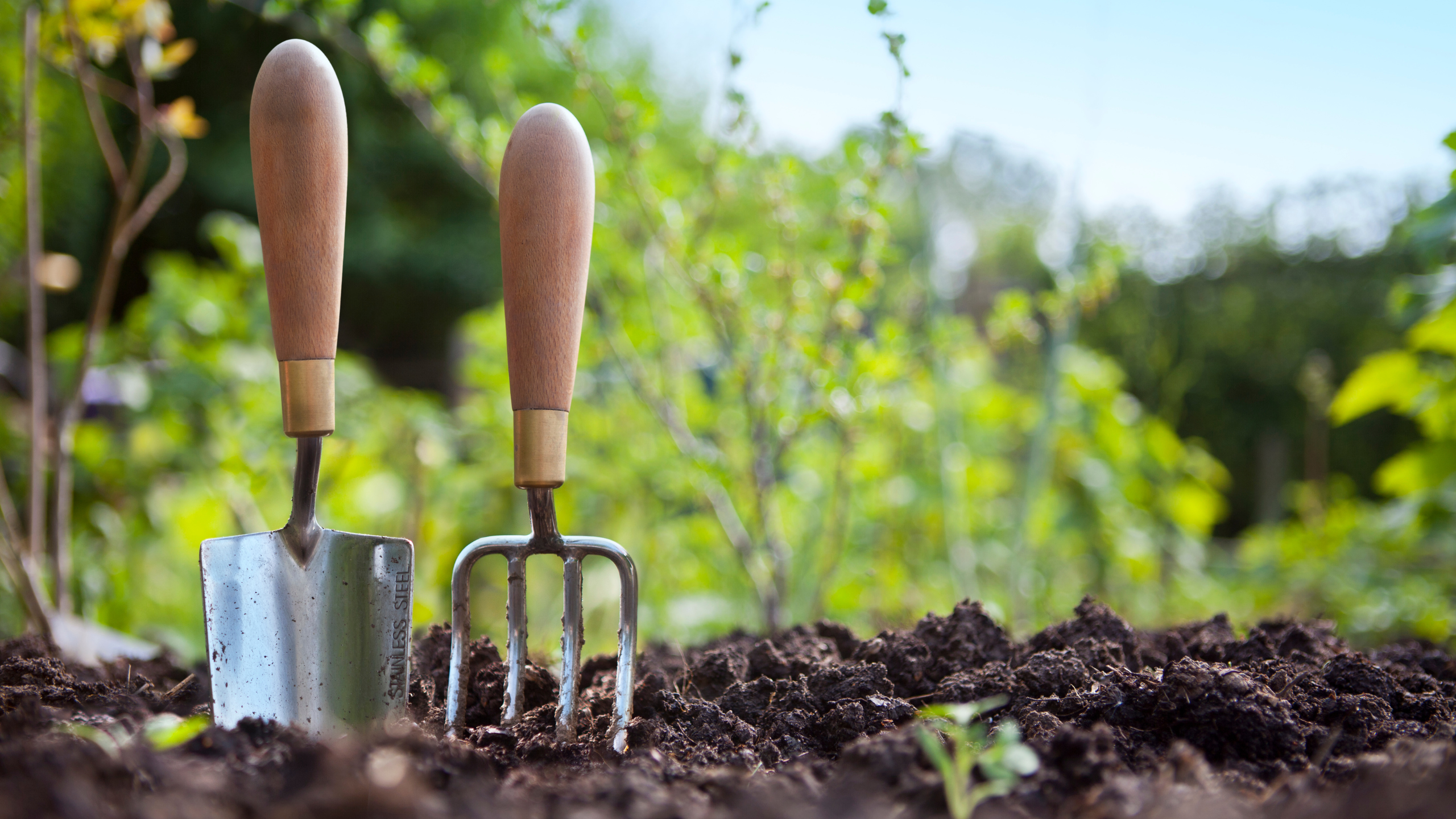 Garden maintenance Bristol